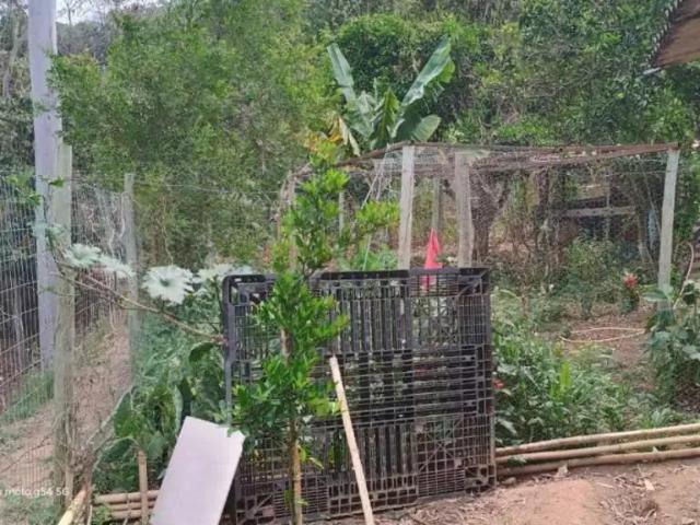Sítio / Chácara para Venda em Redenção da Serra/SP Centro 2 Quartos