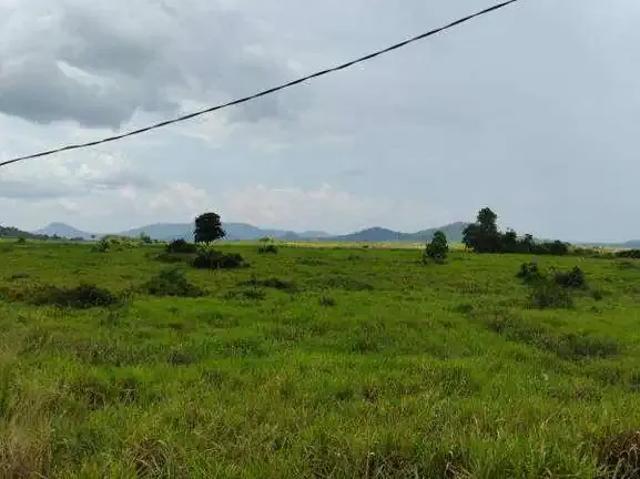 Sítio / Chácara para Venda em Redenção/PA Área Rural de Redenção