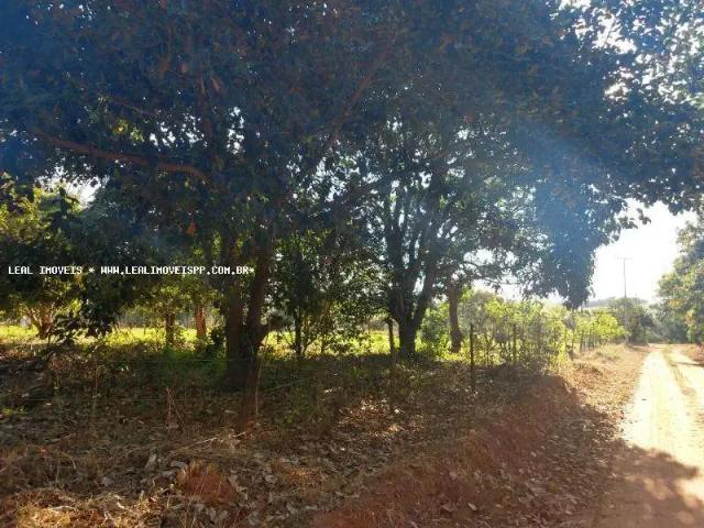 Sítio / Chácara para Venda em Regente Feijó/SP Zona Rural 2 Quartos