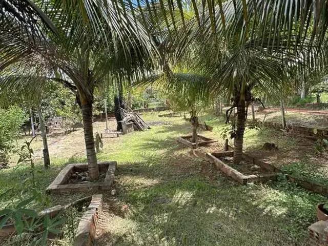 Sítio / Chácara para Venda em Regente Feijó/SP Zona Rural 4 Quartos