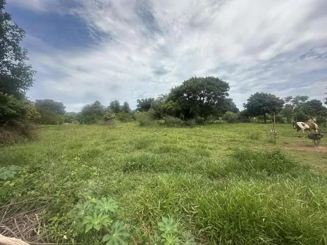 Sítio / Chácara para Venda em Regente Feijó/SP Zona Rural