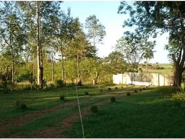 Sítio / Chácara para Venda em Reginópolis/SP Zona Rural 3 Quartos