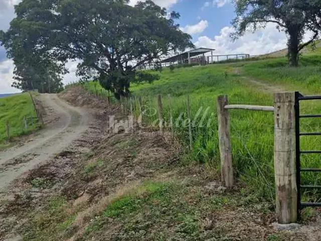 Sítio / Chácara para Venda em Reserva/PR Centro