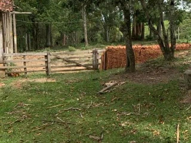 Sítio / Chácara para Venda em Reserva/PR Zona Rural 3 Quartos