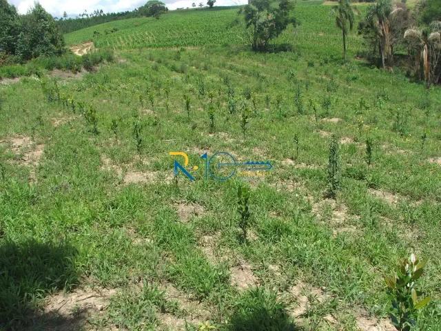 Sítio / Chácara para Venda em Reserva/PR Zona Rural