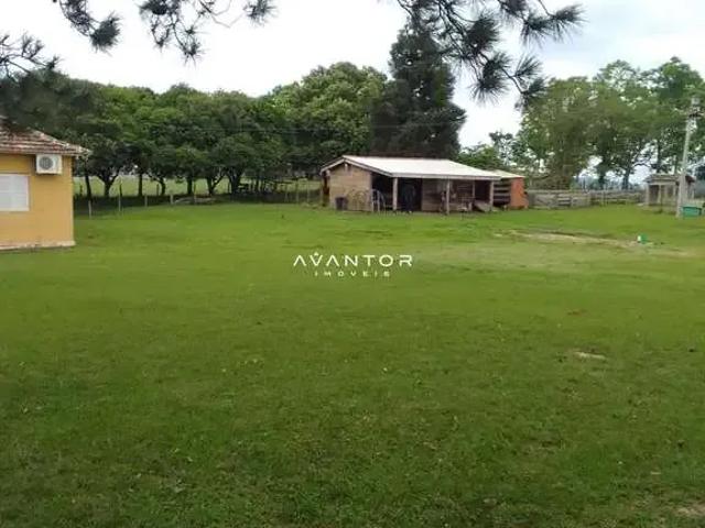 Sítio / Chácara para Venda em Restinga Seca/RS Centro 3 Quartos