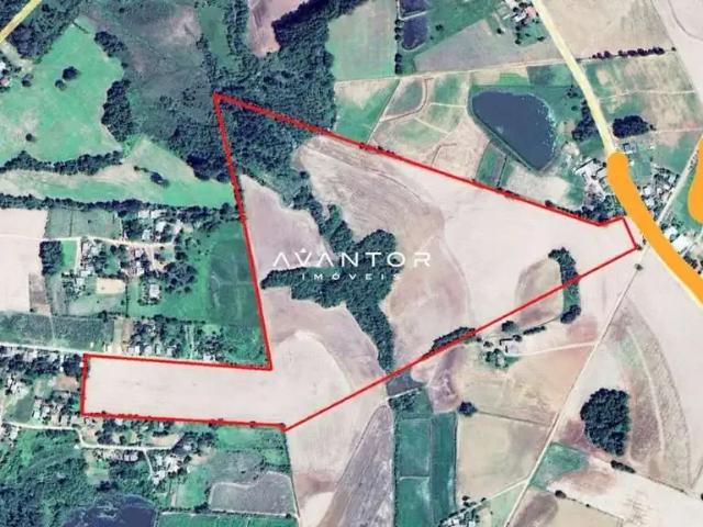 Sítio / Chácara para Venda em Restinga Seca/RS Zona Rural