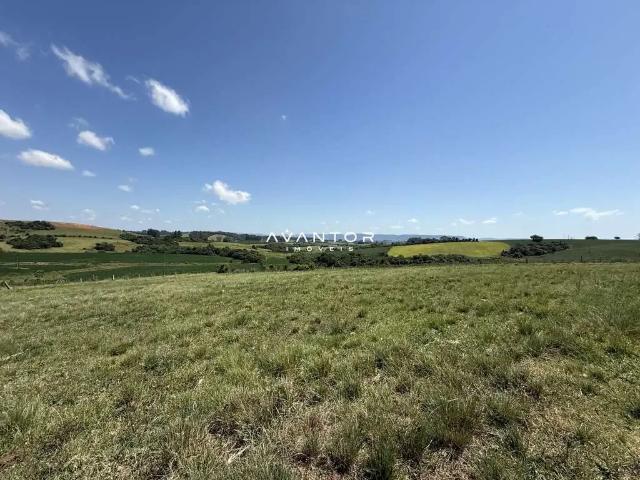 Sítio / Chácara para Venda em Restinga Seca/RS Zona Rural