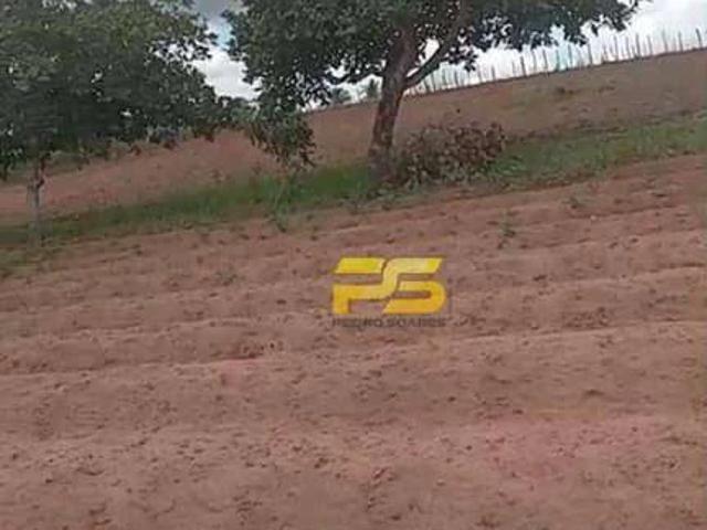 Sítio / Chácara para Venda em Riachão do Poço/PB Zona Rural 2 Quartos
