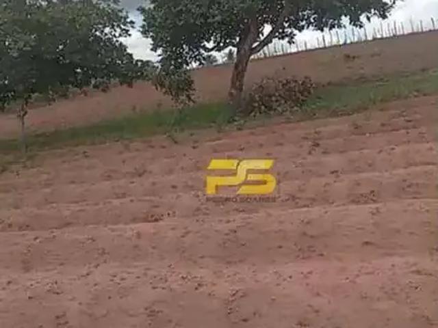 Sítio / Chácara para Venda em Riachão do Poço/PB Zona Rural 2 Quartos