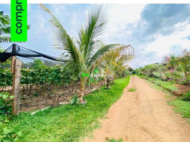 Sítio / Chácara para Venda em Ribeirão Corrente/SP Centro 2 Quartos