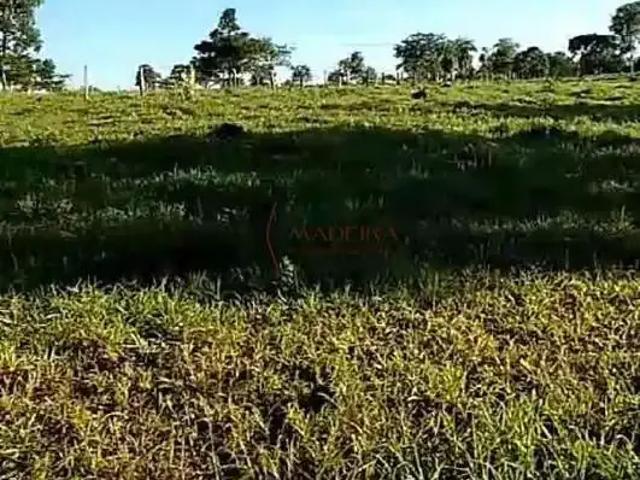 Sítio / Chácara para Venda em Ribeirão Cascalheira/MT Zona Rural 2 Quartos
