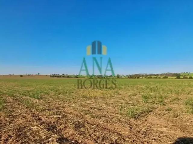 Sítio / Chácara para Venda em Ribeirão Bonito/SP Centro 1 Quartos