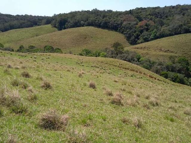 Sítio / Chácara para Venda em Ribeirão Branco/SP Zona Rural 2 Quartos