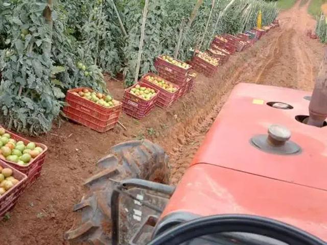 Sítio / Chácara para Venda em Ribeirão Branco/SP Zona Rural 3 Quartos