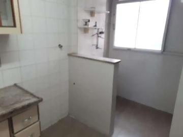 Sítio / Chácara para Venda em Ribeirão das Neves/MG Rosana 2 Quartos