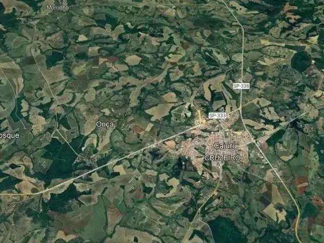 Sítio / Chácara para Venda em Ribeirão Preto/SP Área Rural de Ribeirão Preto