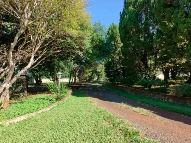 Sítio / Chácara para Venda em Ribeirão Preto/SP Bonfim Paulista 12 Quartos