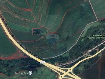 Sítio / Chácara para Venda em Ribeirão Preto/SP Jardim Itaú