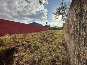Sítio / Chácara para Venda em Ribeirão Preto/SP Jardim Itaú