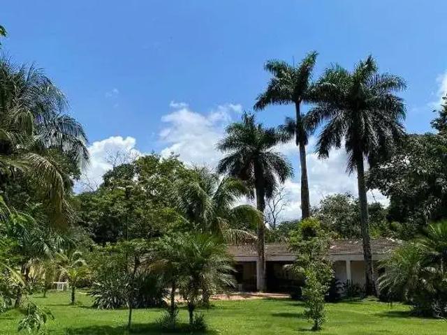 Sítio / Chácara para Venda em Ribeirão Preto/SP Parque São Sebastião 4 Quartos