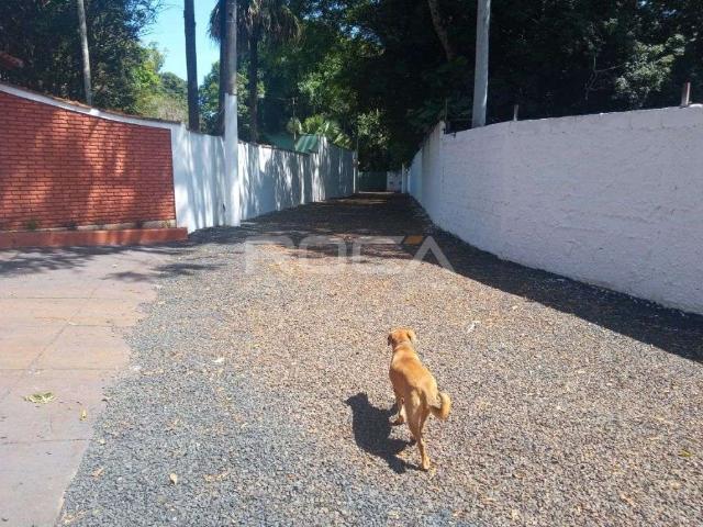 Sítio / Chácara para Venda em Ribeirão Preto/SP Parque Ribeirão Preto 4 Quartos