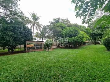 Sítio / Chácara para Venda em Ribeirão Preto/SP Quinta da Alvorada 1 Quartos