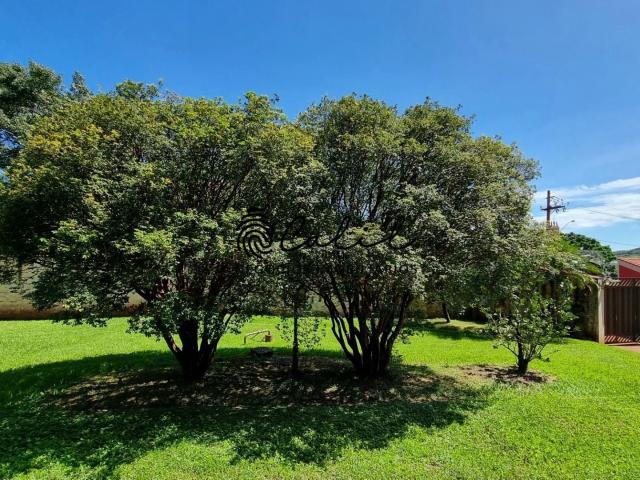 Sítio / Chácara para Venda em Ribeirão Preto/SP Recreio das Acácias 4 Quartos