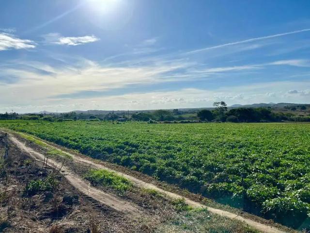 Sítio / Chácara para Venda em Ribeirópolis/SE Centro 3 Quartos