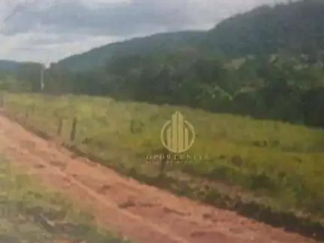Sítio / Chácara para Venda em Rifaina/SP Represa de Rifaina