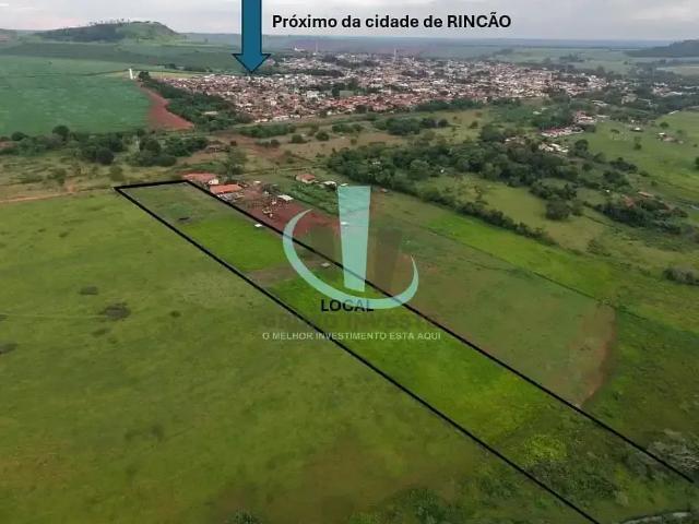 Sítio / Chácara para Venda em Rincão/SP Zona Rural 1 Quartos
