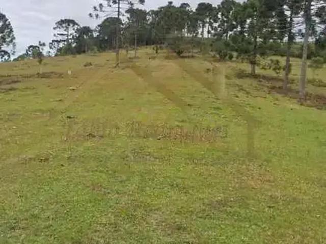 Sítio / Chácara para Venda em Rio Negrinho/SC Centro