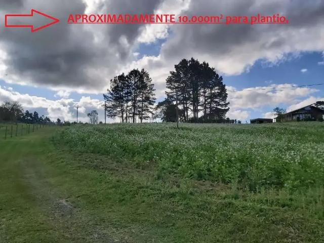 Sítio / Chácara para Venda em Rio Negrinho/SC Rio do Salto 2 Quartos
