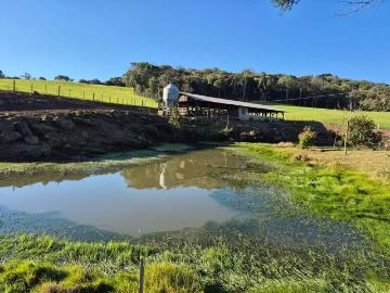 Sítio / Chácara para Venda em Rio Negrinho/SC Zona Rural 3 Quartos