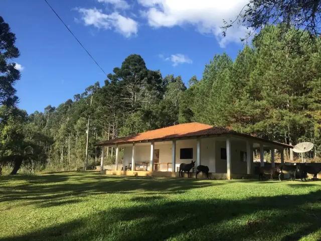 Sítio / Chácara para Venda em Rio Negro/PR Centro 2 Quartos