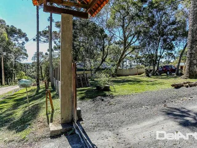 Sítio / Chácara para Venda em Rio Negro/PR Bom Jesus 3 Quartos