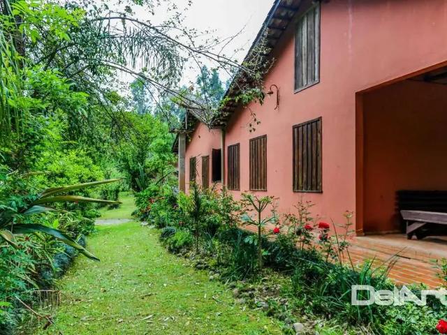 Sítio / Chácara para Venda em Rio Negro/PR Roseira 7 Quartos