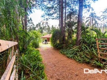 Sítio / Chácara para Venda em Rio Negro/PR Roseira 7 Quartos