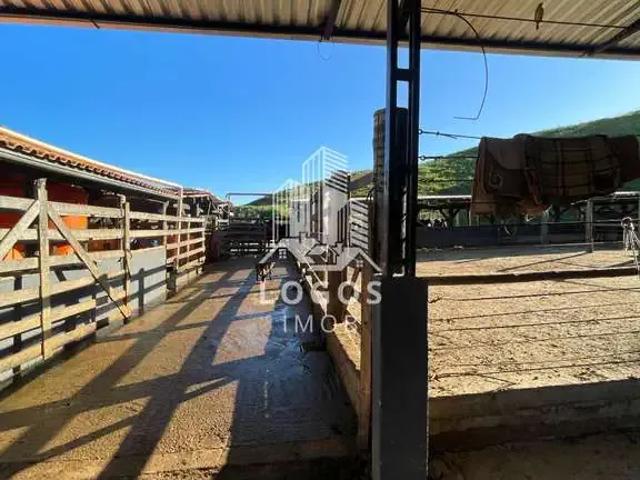 Sítio / Chácara para Venda em Rio Novo/MG Zona Rural 8 Quartos