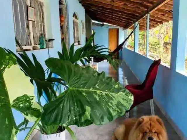 Sítio / Chácara para Venda em Rio Bonito/RJ Sambê 3 Quartos