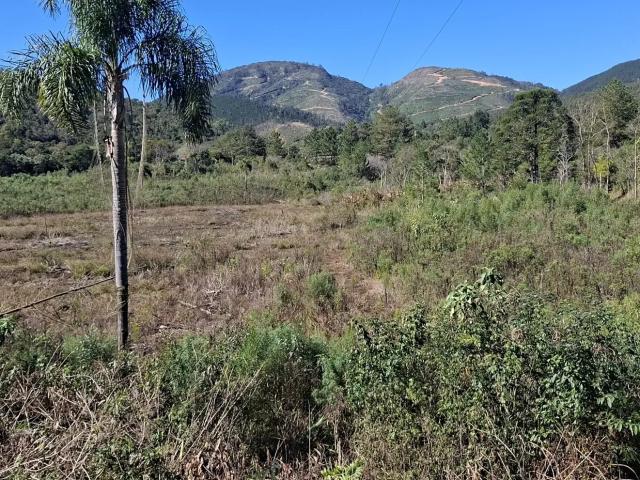 Sítio / Chácara para Venda em Rio Branco do Sul/PR Zona Rural 2 Quartos