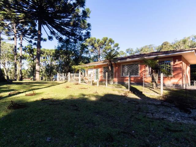 Sítio / Chácara para Venda em Rio Branco do Sul/PR Zona Rural
