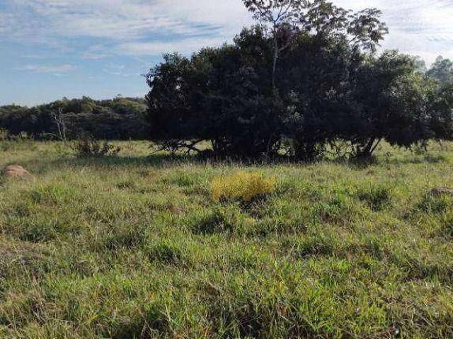 Sítio / Chácara para Venda em Rio Claro/SP Jardim Sigal
