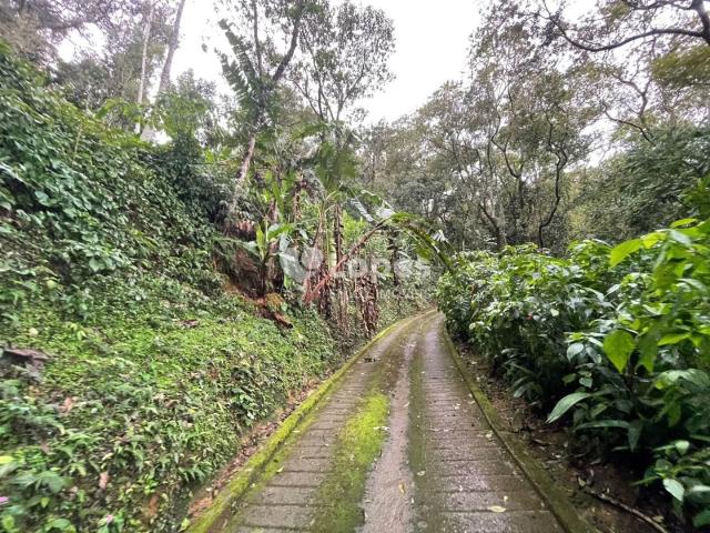 Sítio / Chácara para Venda em Rio de Janeiro/RJ Alto da Boa Vista 4 Quartos