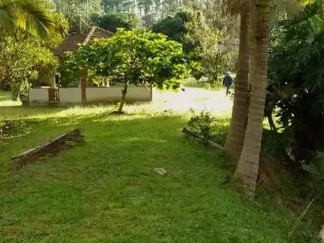 Sítio / Chácara para Venda em Rio do Oeste/SC Vila Nova 3 Quartos