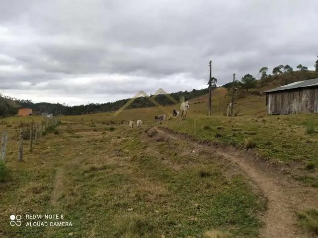 Sítio / Chácara para Venda em Rio do Campo/SC Centro