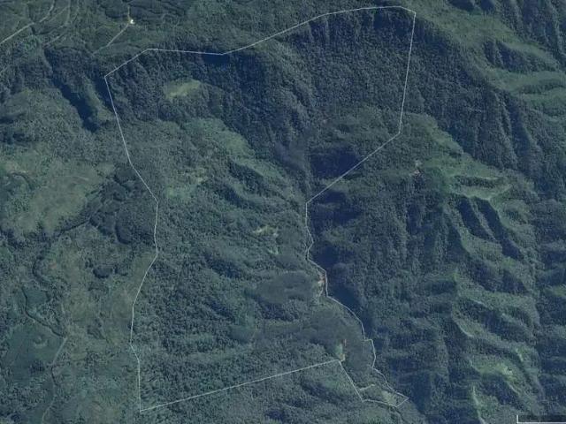 Sítio / Chácara para Venda em Rio do Campo/SC Zona Rural