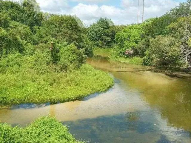 Sítio / Chácara para Venda em Rio do Fogo/RN Centro 3 Quartos