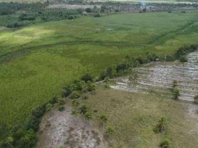 Sítio / Chácara para Venda em Rio do Fogo/RN Centro 3 Quartos