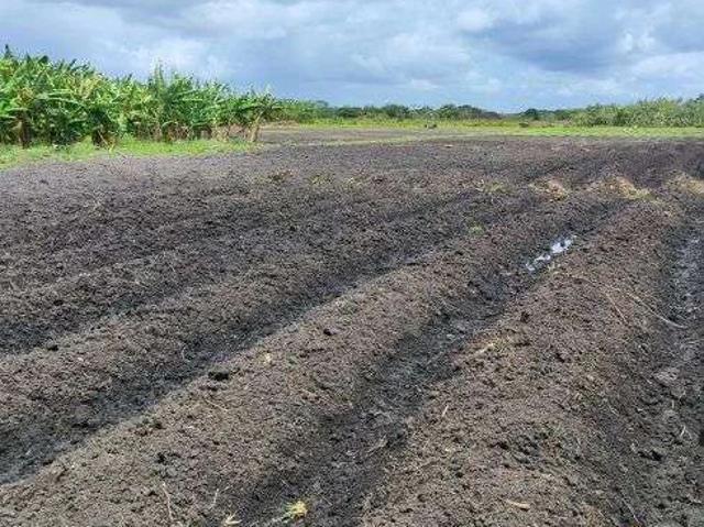 Sítio / Chácara para Venda em Rio do Fogo/RN Centro 3 Quartos